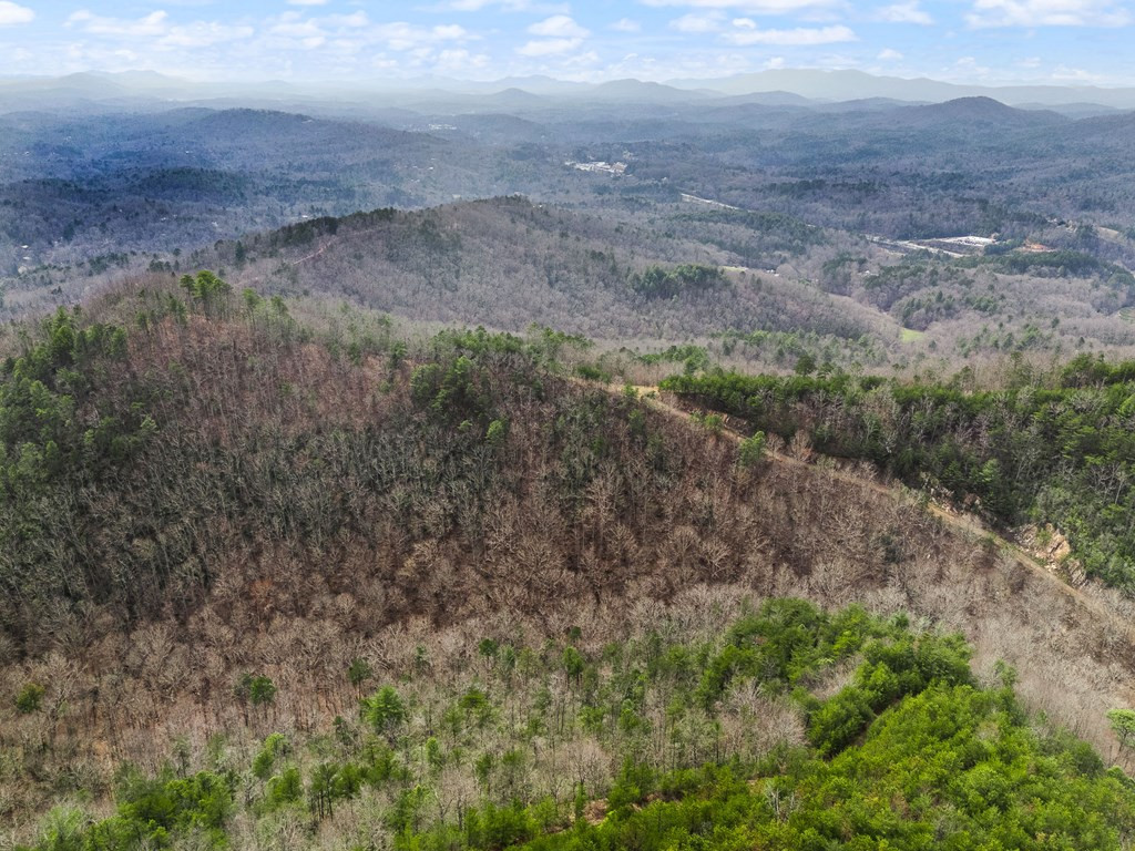 13-acres American Eagle Road Murphy, NC 28906 - Photo 11 of 17