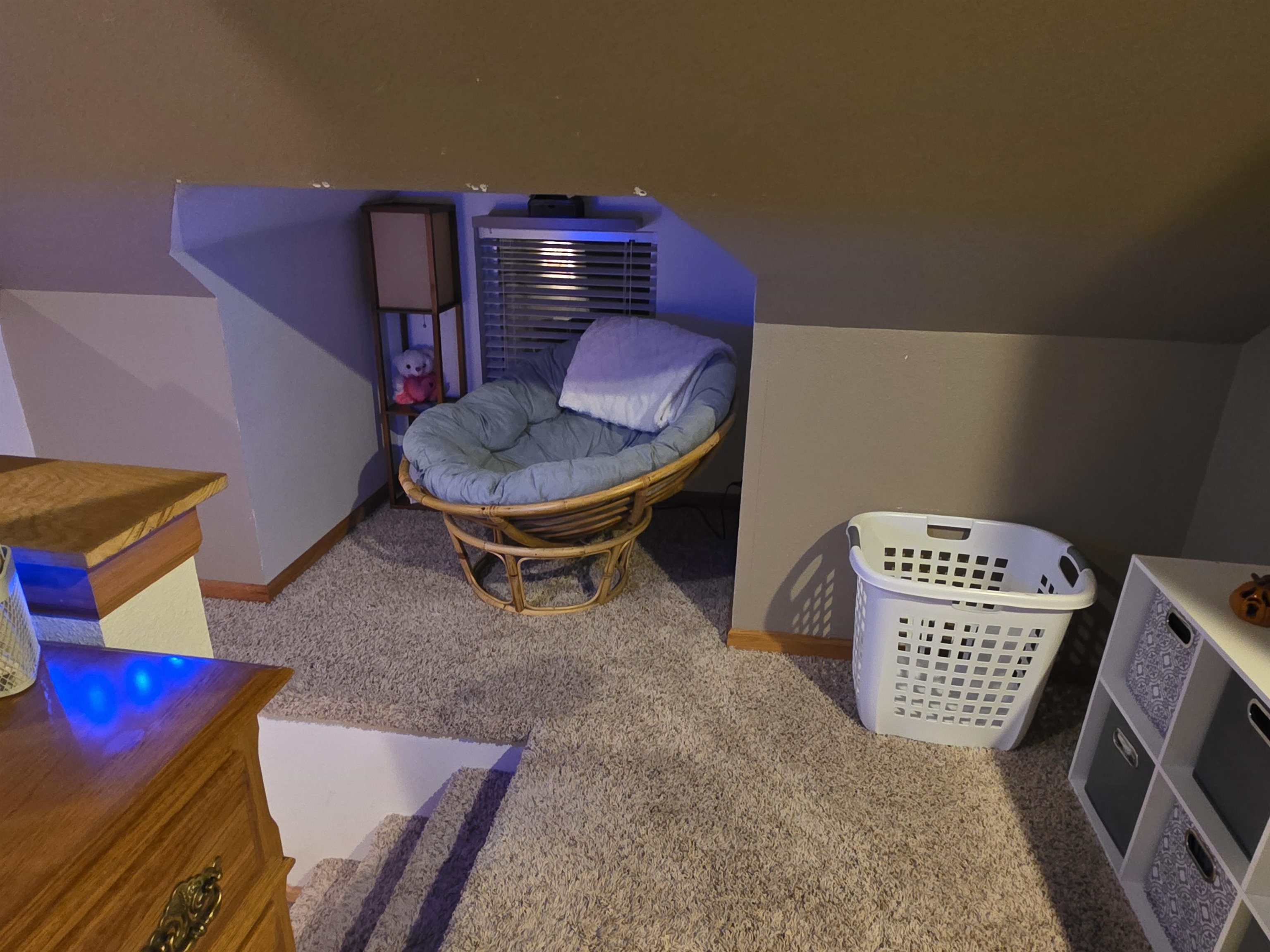 219 Spring Street Fox Lake, WI 53933 - Photo 25 of 32