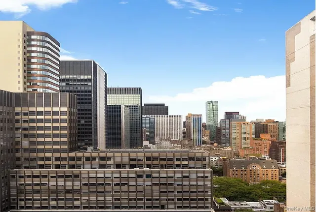 a view of a city with tall buildings