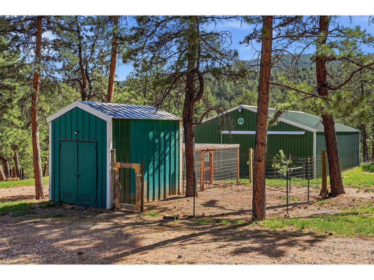 560 Quillan Gulch Road Loveland, CO 80537 - Photo 40 of 49 Large shed with fenced in chicken coop area