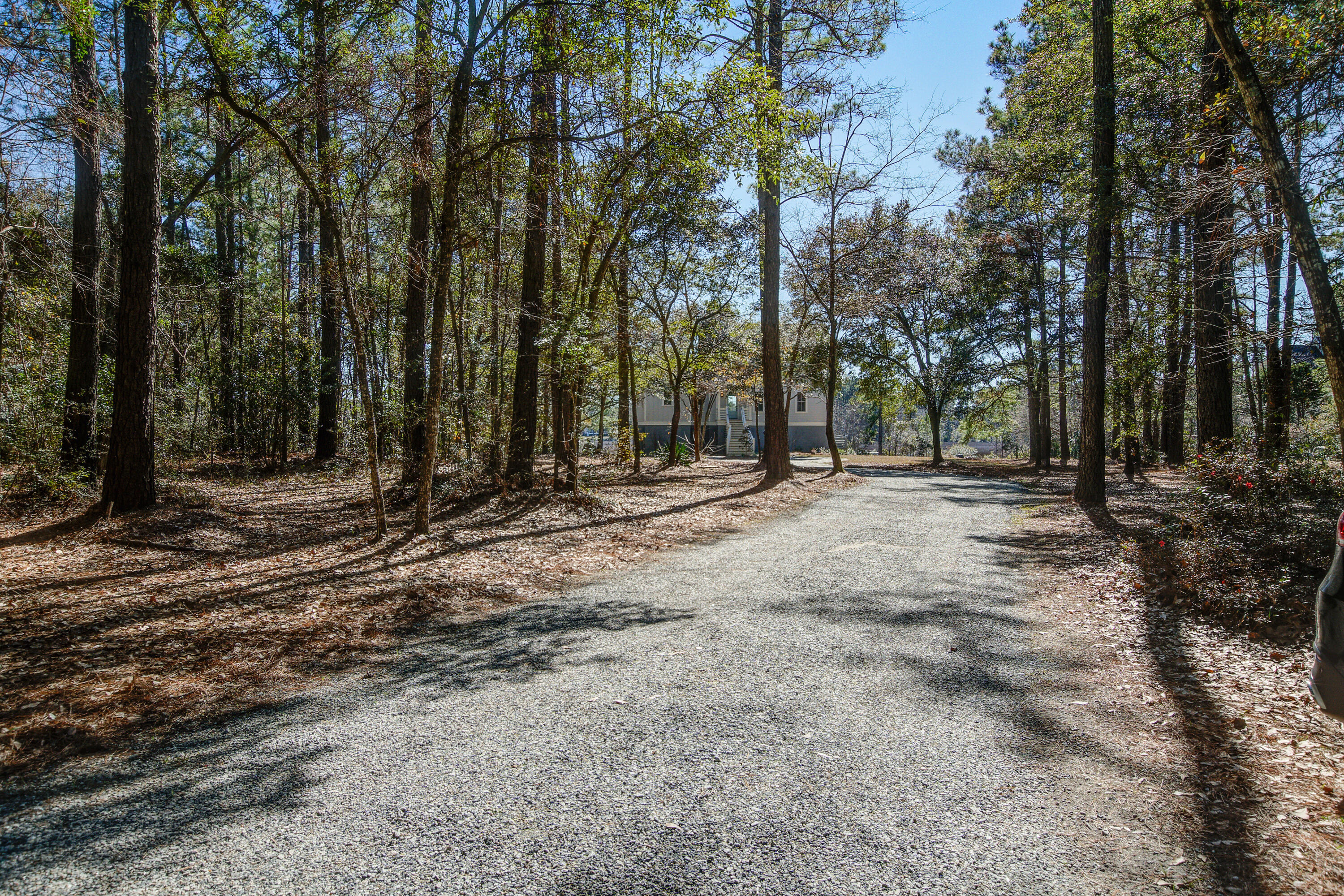 7527 Ladys Secret Lane Awendaw, SC 29429 - Photo 50 of 57 Driveway