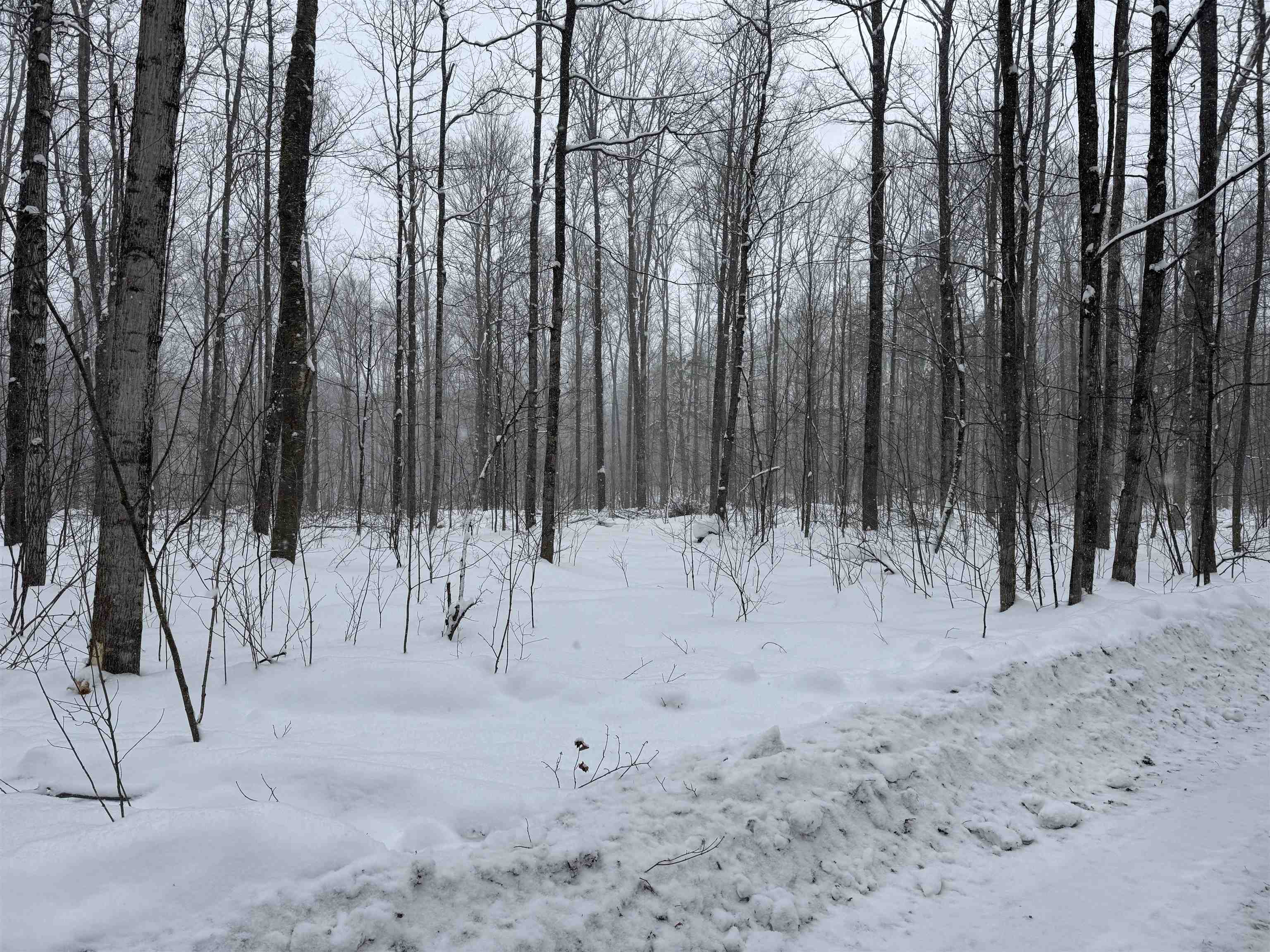 -dreffs Off McCoy Road Gaylord, MI 49735 - Photo 2 of 14