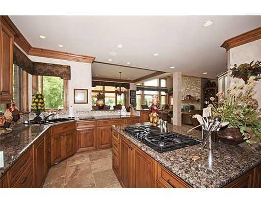 3173 Heather Road Ann Arbor, MI 48108 - Photo 4 of 10 Photo 4