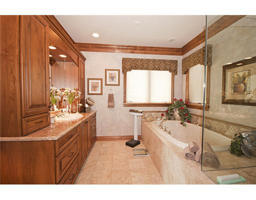 3173 Heather Road Ann Arbor, MI 48108 - Photo 9 of 10 Photo 9