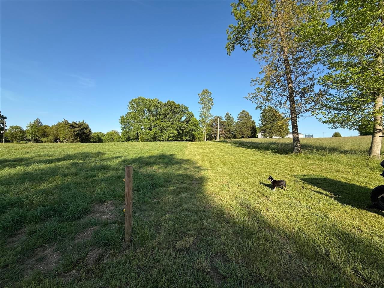 1055 Roseburg Road Cub Run, KY 42729 - Photo 43 of 49 Gallery Image 43