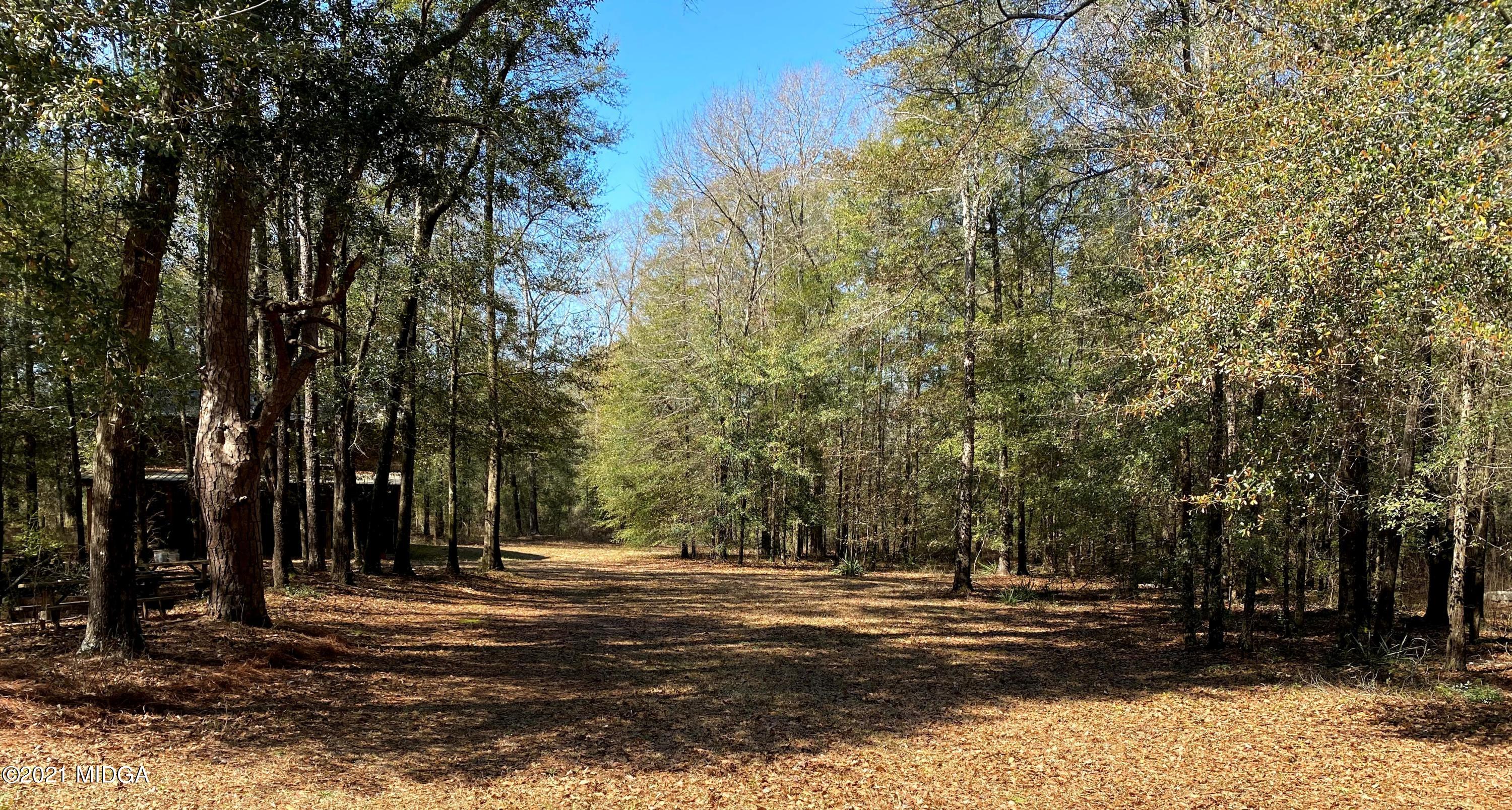 619 Harper Road Perry, GA 31069 - Photo 6 of 27 a view of a backyard with large trees