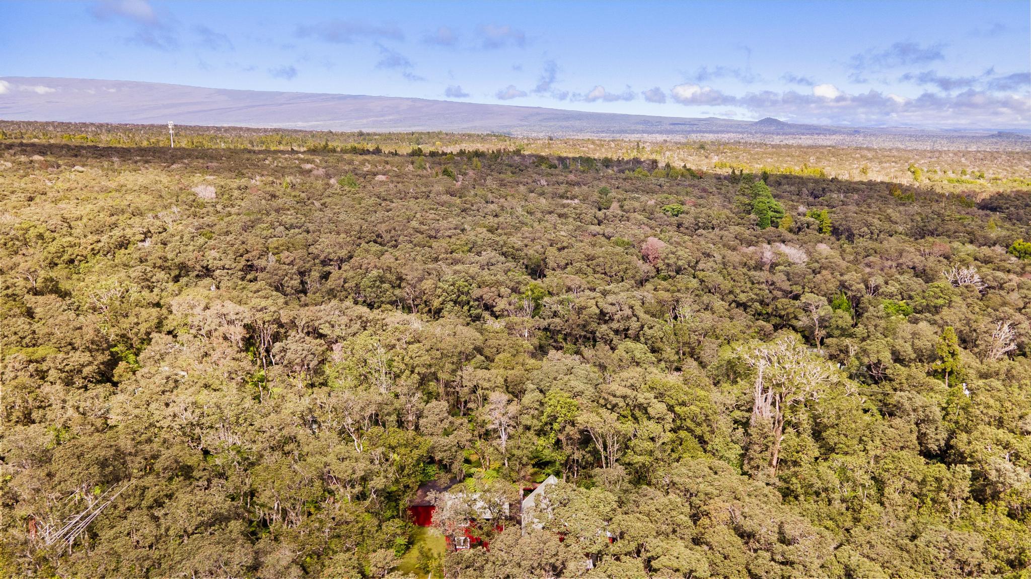 11-3895 5th Street Volcano, HI 96778 - Photo 28 of 28