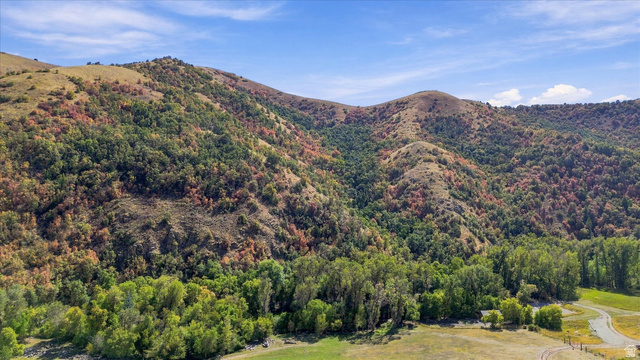 3000 Canyon Road Smithfield, UT 84335 - Photo 8 of 10 Expansive mountainous terrain with varied tree coverage, natural land contours, and a distinct treeline