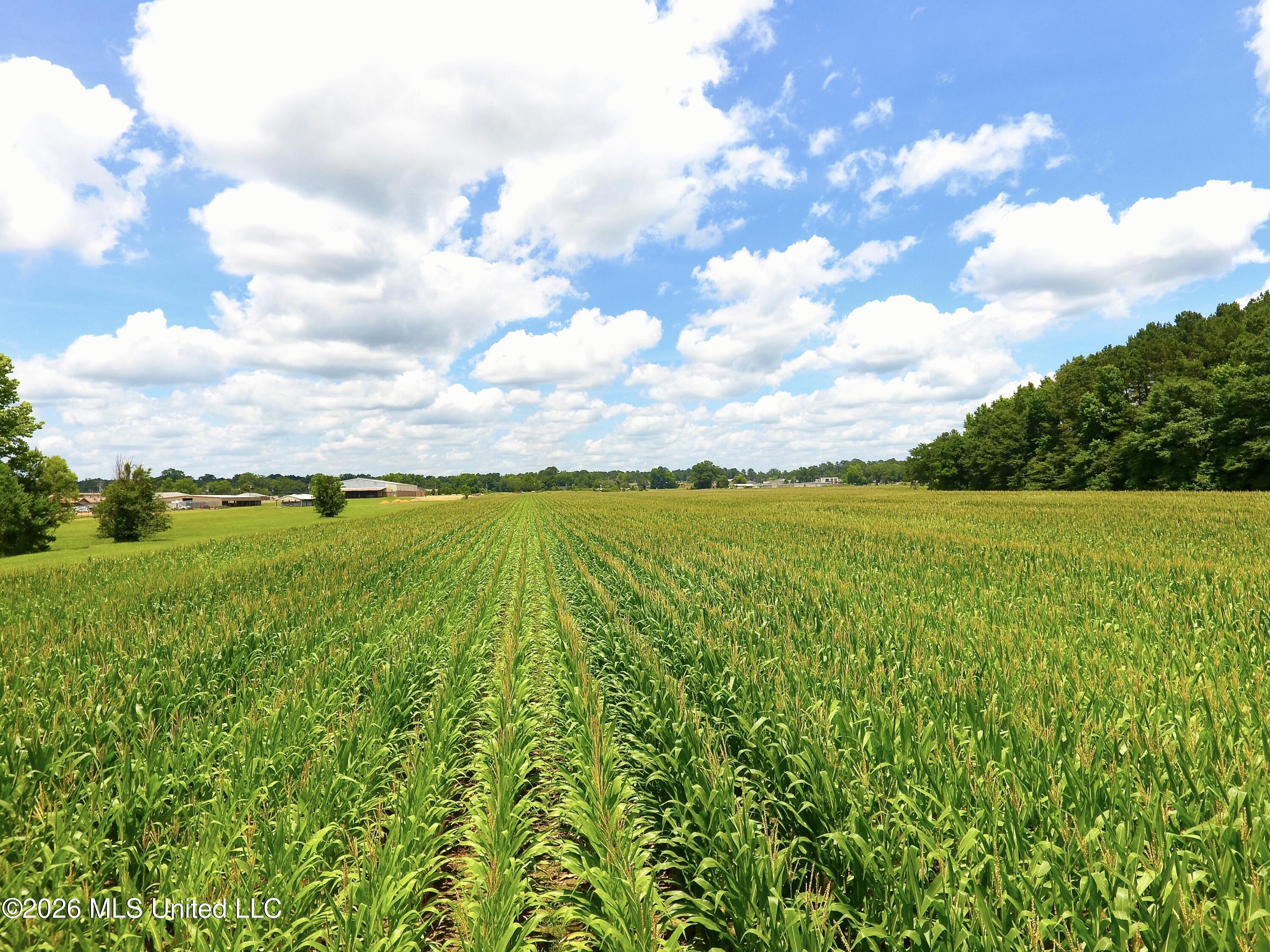 DJI_0036