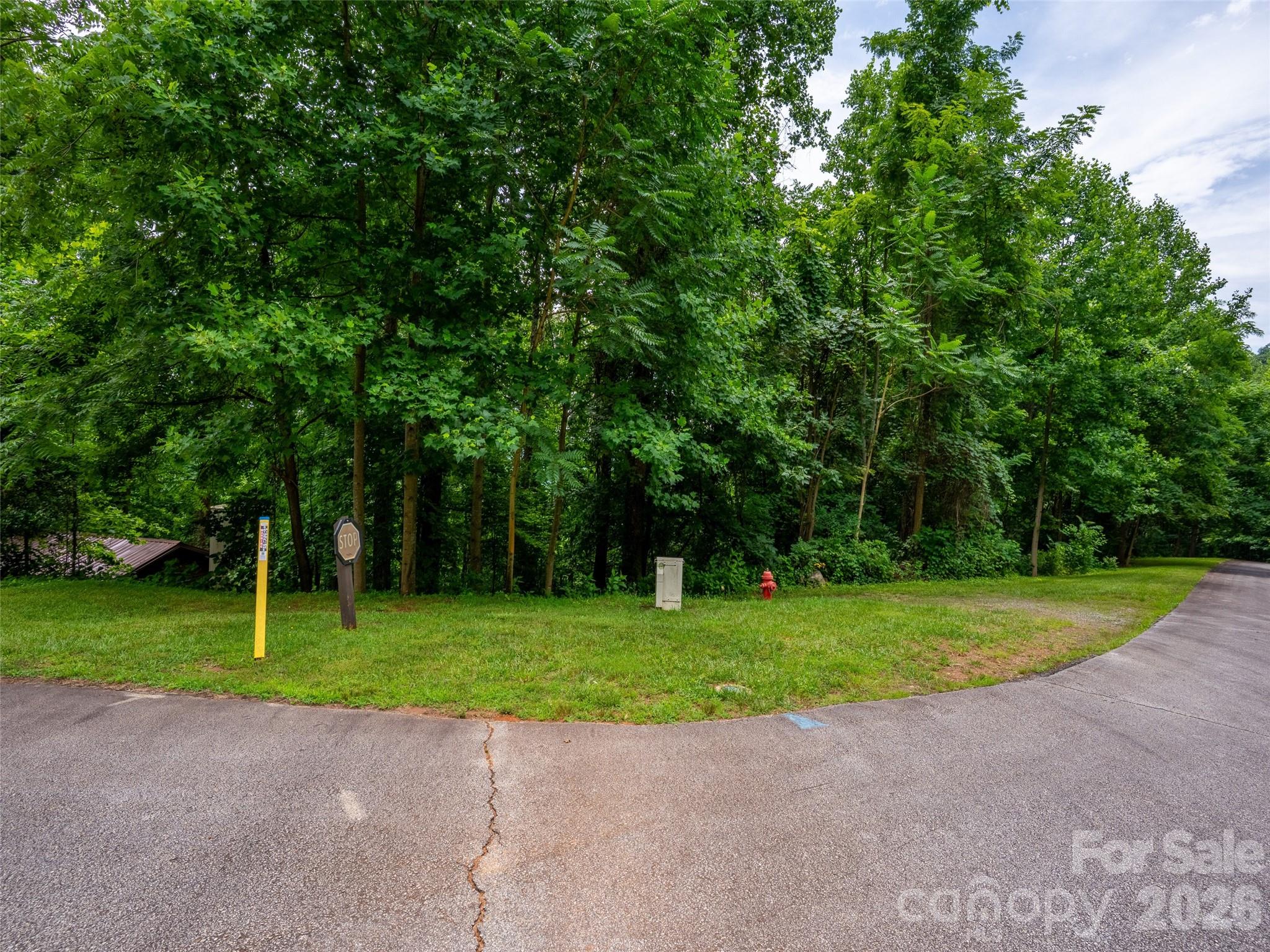 236 Nottingham Dr Mill Spring Mill Spring, NC 28756 - Photo 3 of 19