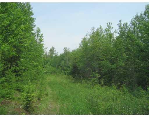 33 A Foster Road Littleton, ME 04730 - Photo 4 of 13 Land/Lot.