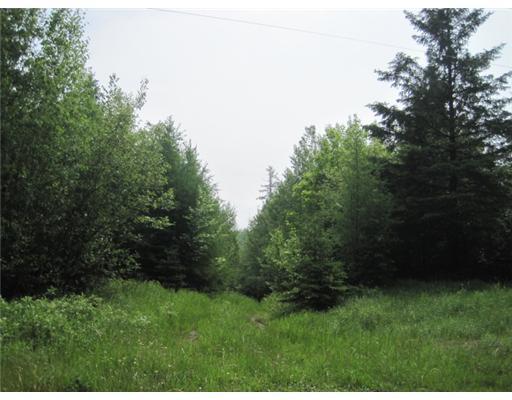 33 A Foster Road Littleton, ME 04730 - Photo 8 of 13 Land/Lot.