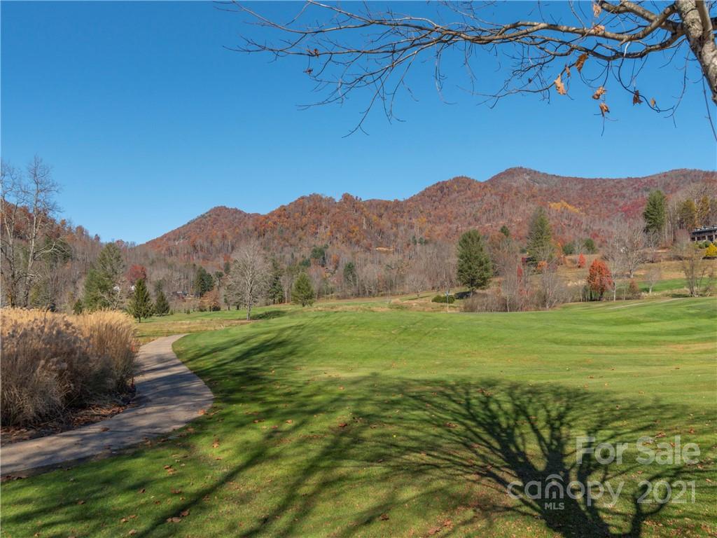 51 Forest Road Canton, NC 28716 - Photo 18 of 26 a view of a lush green hillside and a building