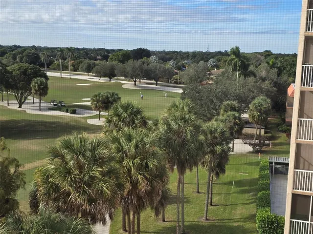 a view of a big yard with plants and large trees
