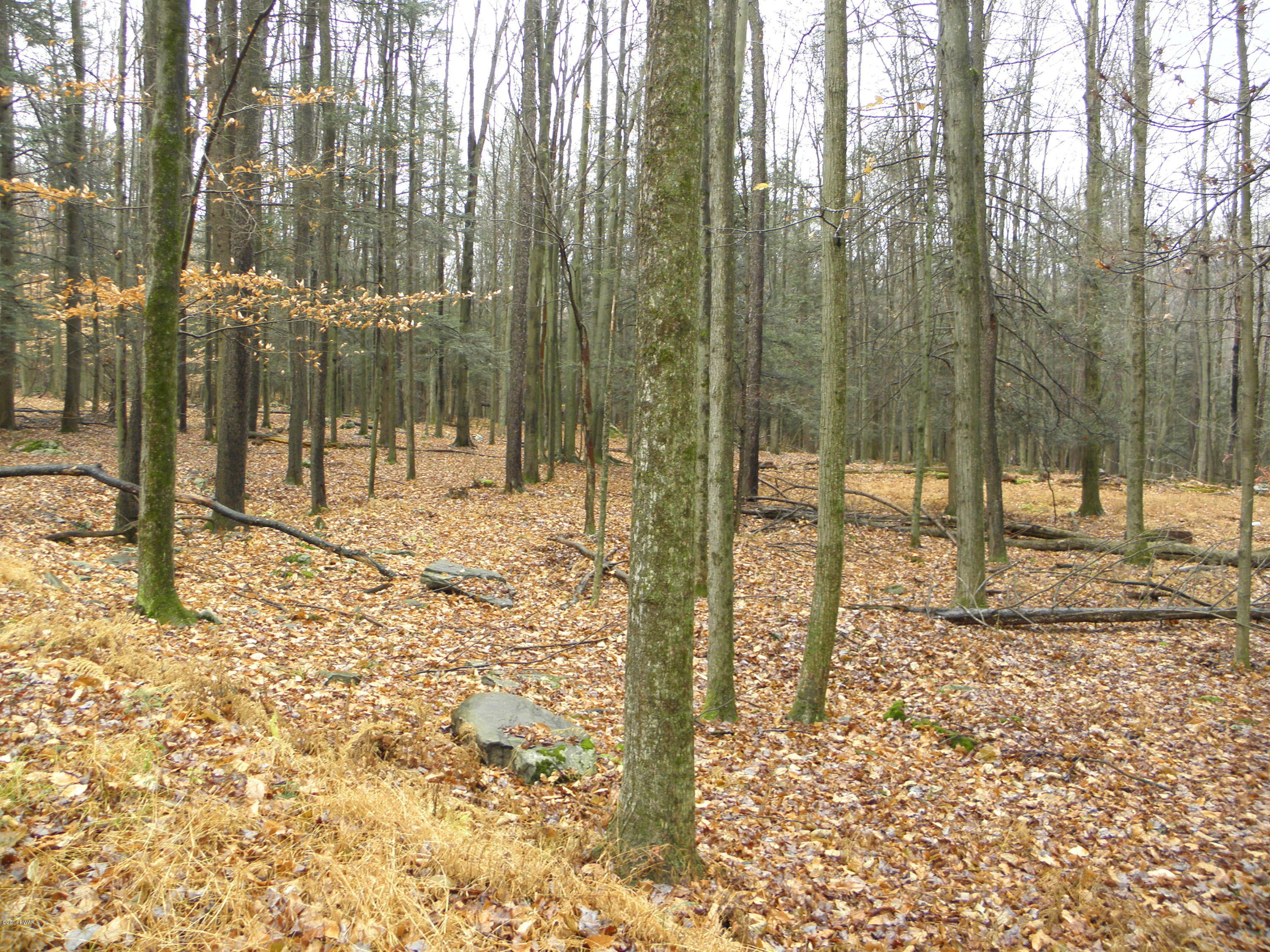 Phillips Road Gouldsboro, PA 18424 - Photo 4 of 6