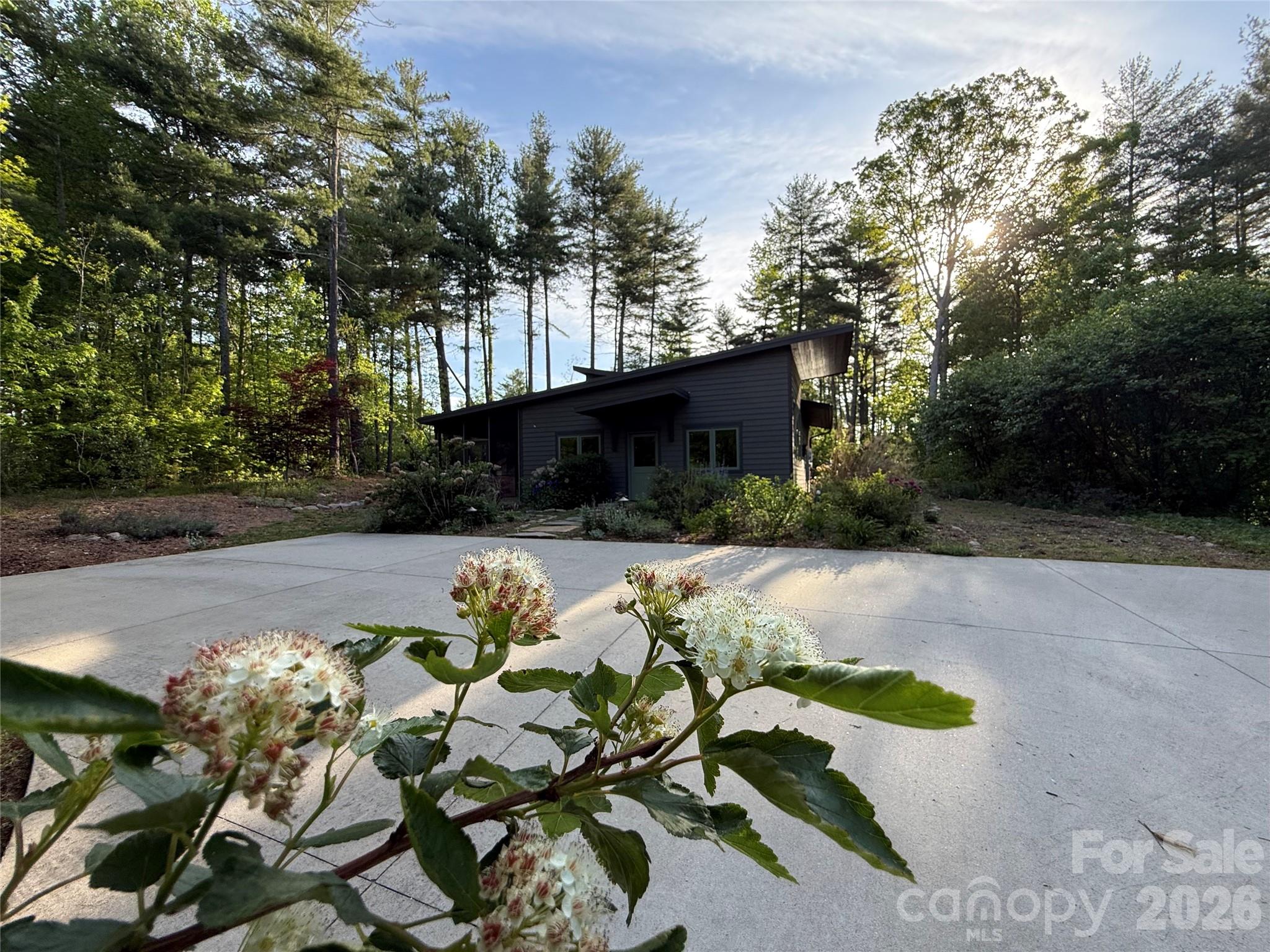 858 Mills Gap Road Fletcher, NC 28732 - Photo 4 of 27