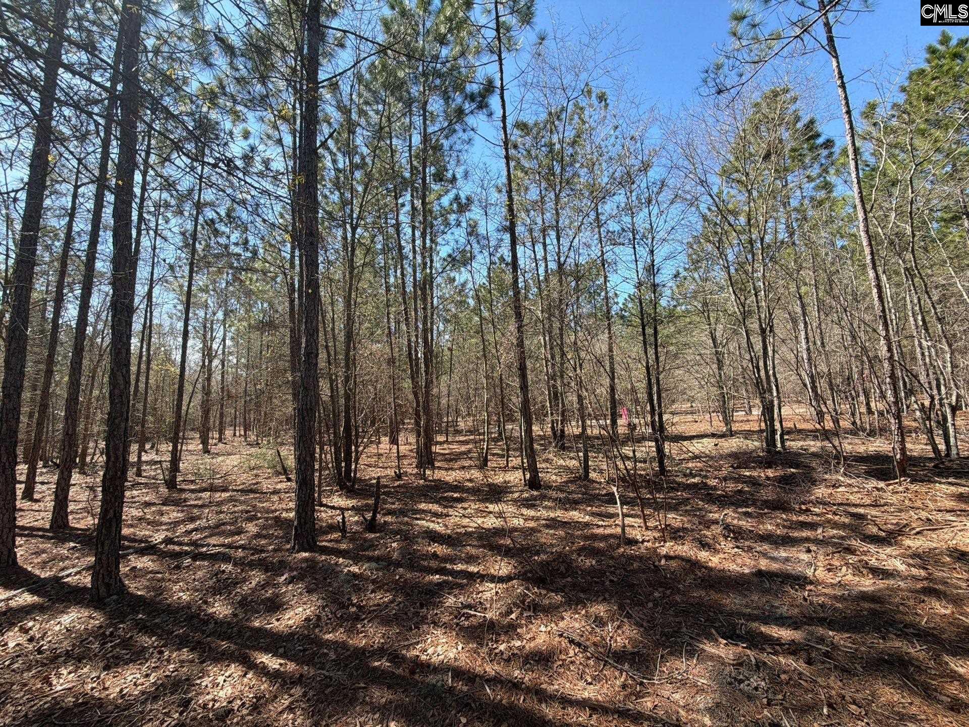 11 Boise Cascade Road, Unit BHL 11 Bethune, SC 29009 - Photo 24 of 24