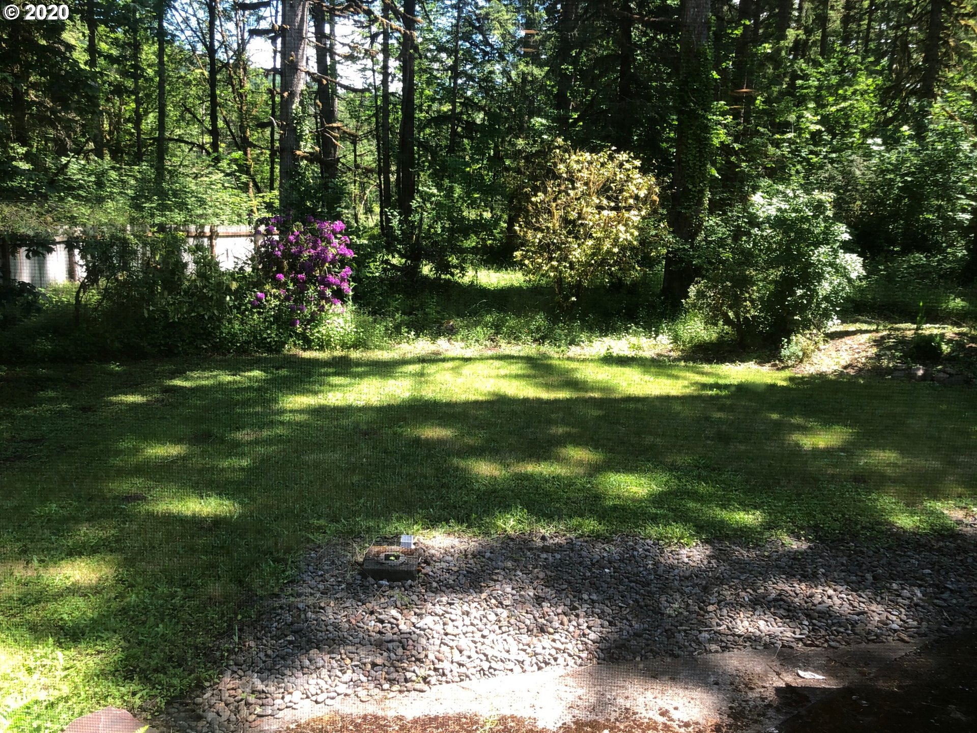 80665 Lost Creek Road Dexter, OR 97431 - Photo 20 of 31 Gallery Image 20