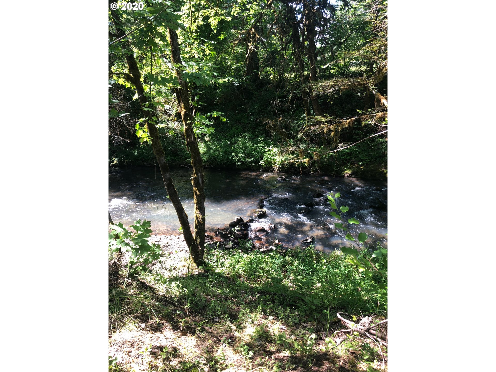 80665 Lost Creek Road Dexter, OR 97431 - Photo 21 of 31 Gallery Image 21