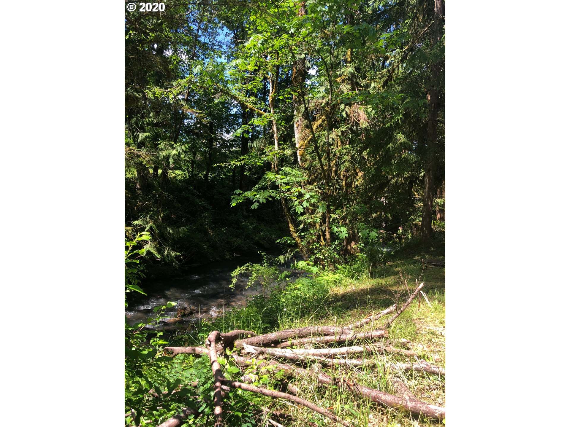 80665 Lost Creek Road Dexter, OR 97431 - Photo 22 of 31 Gallery Image 22