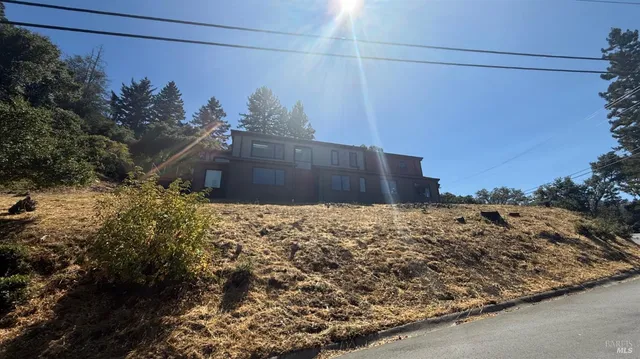 a view of a dry yard