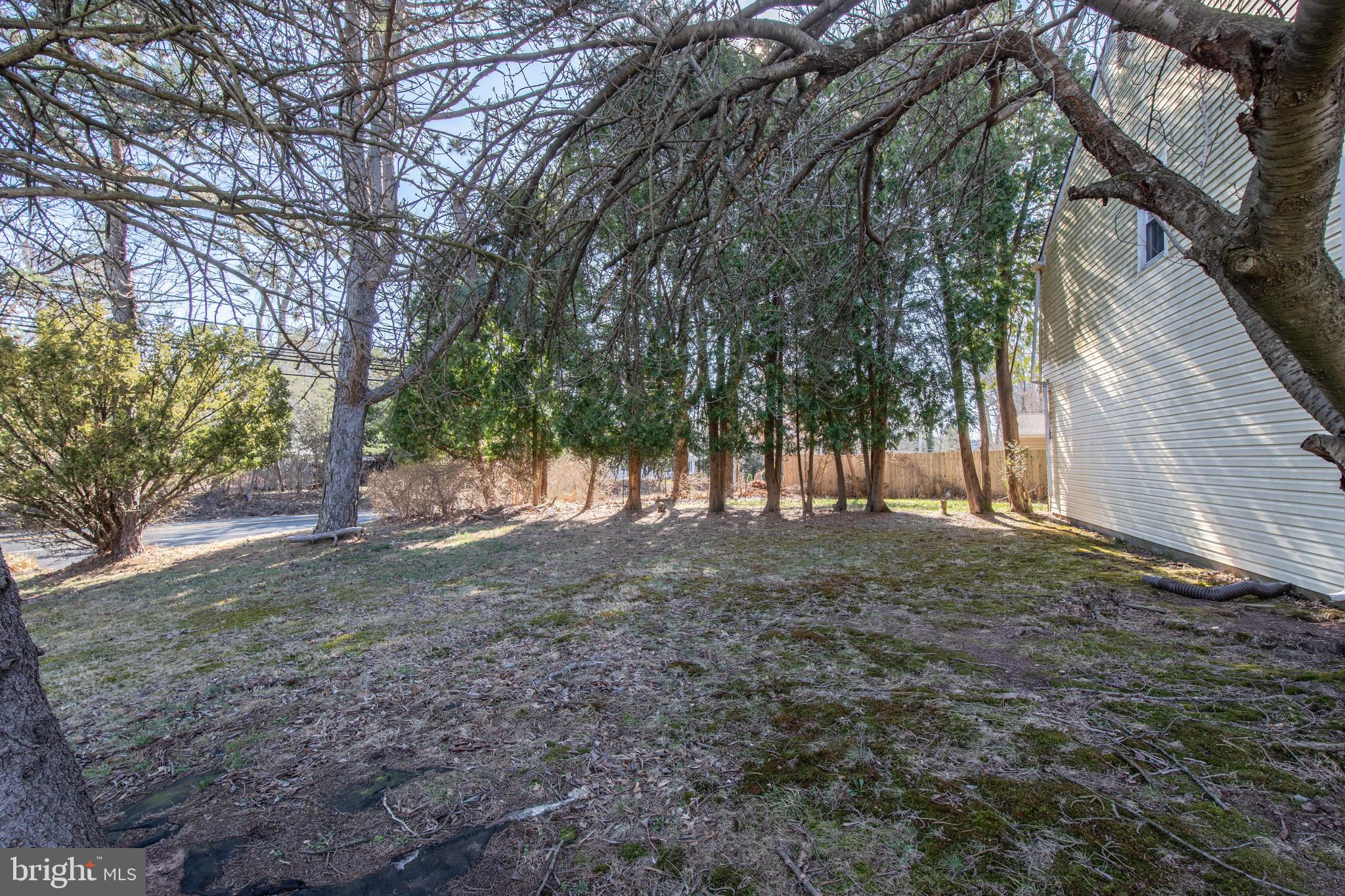 2773 Anvil Place Doylestown, PA 18902 - Photo 29 of 36 a view of a tree in the middle of a yard