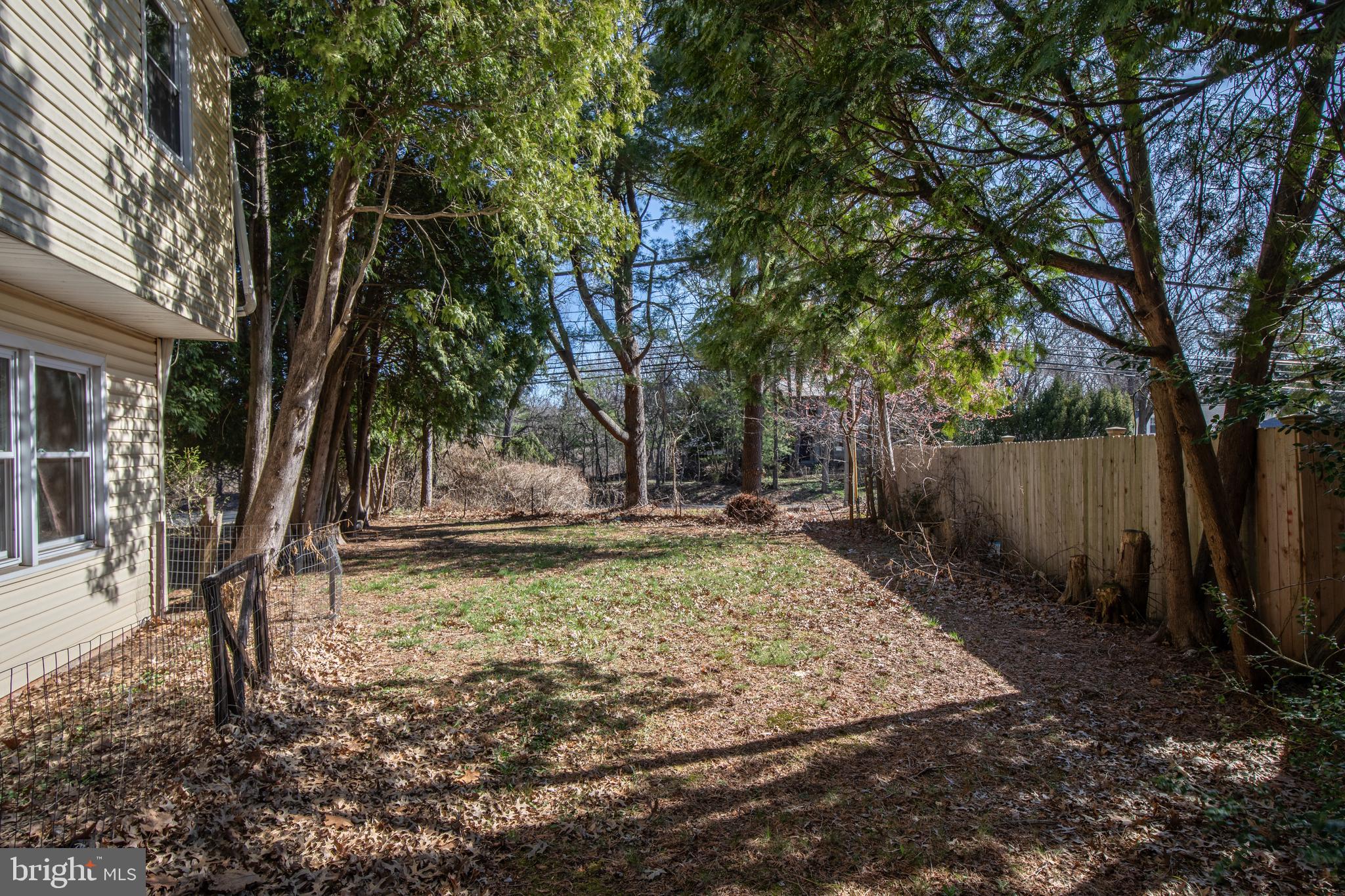 2773 Anvil Place Doylestown, PA 18902 - Photo 33 of 36 a view of a backyard with large trees and plants