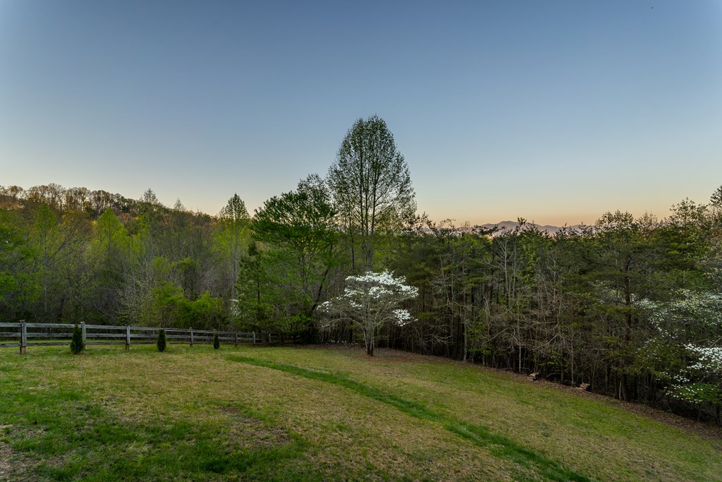 4431 Furman Gribble Road Young Harris, GA 30582 - Photo 24 of 76