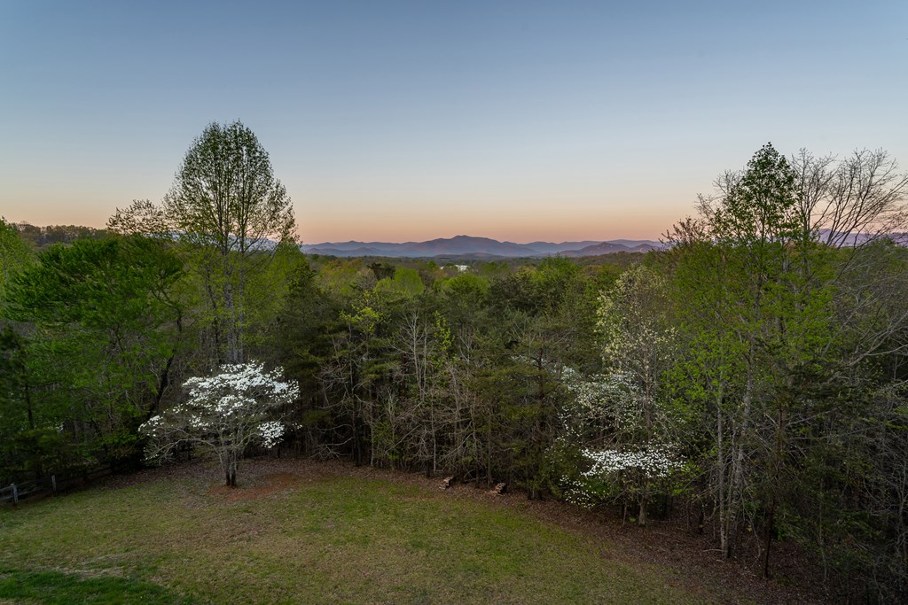 4431 Furman Gribble Road Young Harris, GA 30582 - Photo 25 of 76