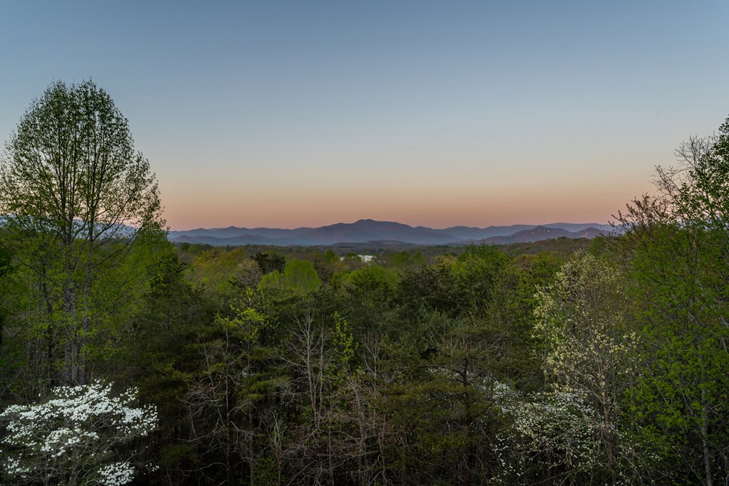 4431 Furman Gribble Road Young Harris, GA 30582 - Photo 26 of 76