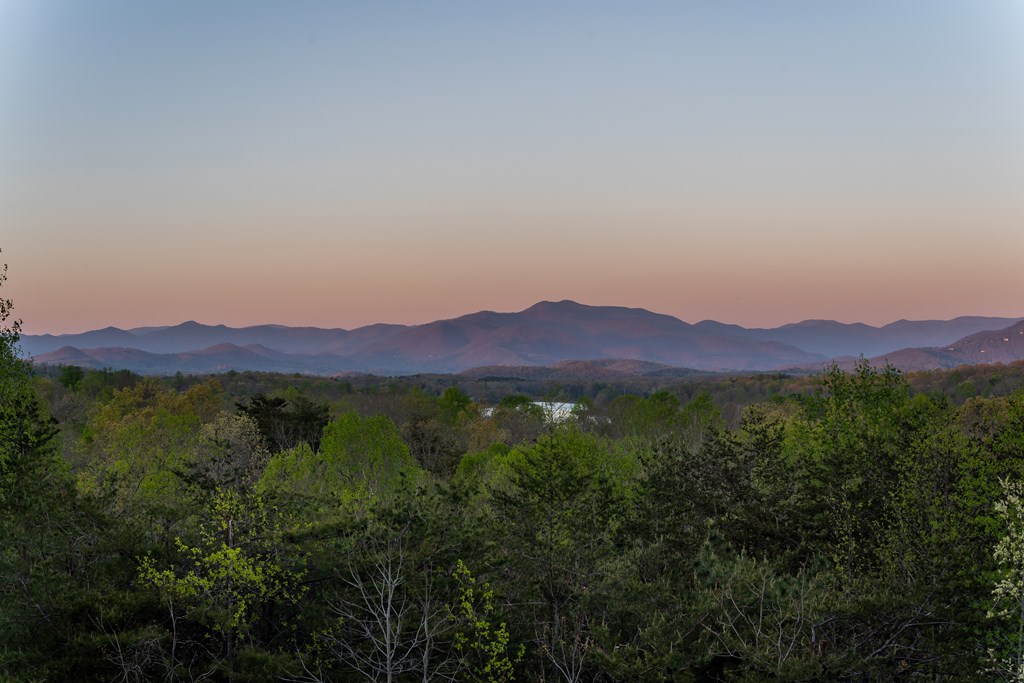 4431 Furman Gribble Road Young Harris, GA 30582 - Photo 27 of 76