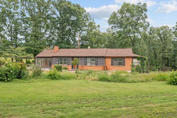 a view of a yard in front of a house with plants and large trees
