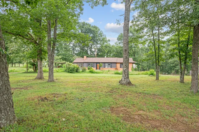 a view of a park with large trees