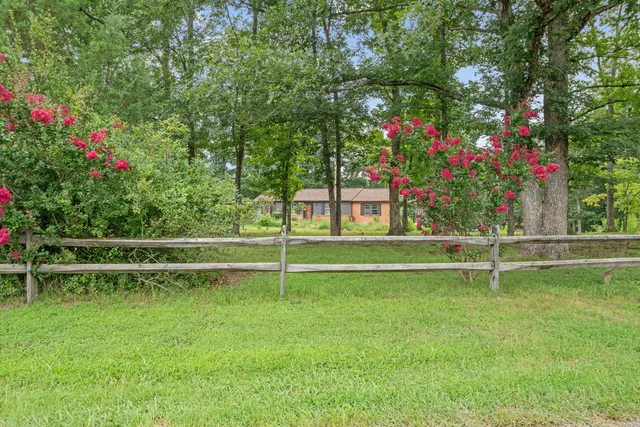 a view of a big yard with a house in the background