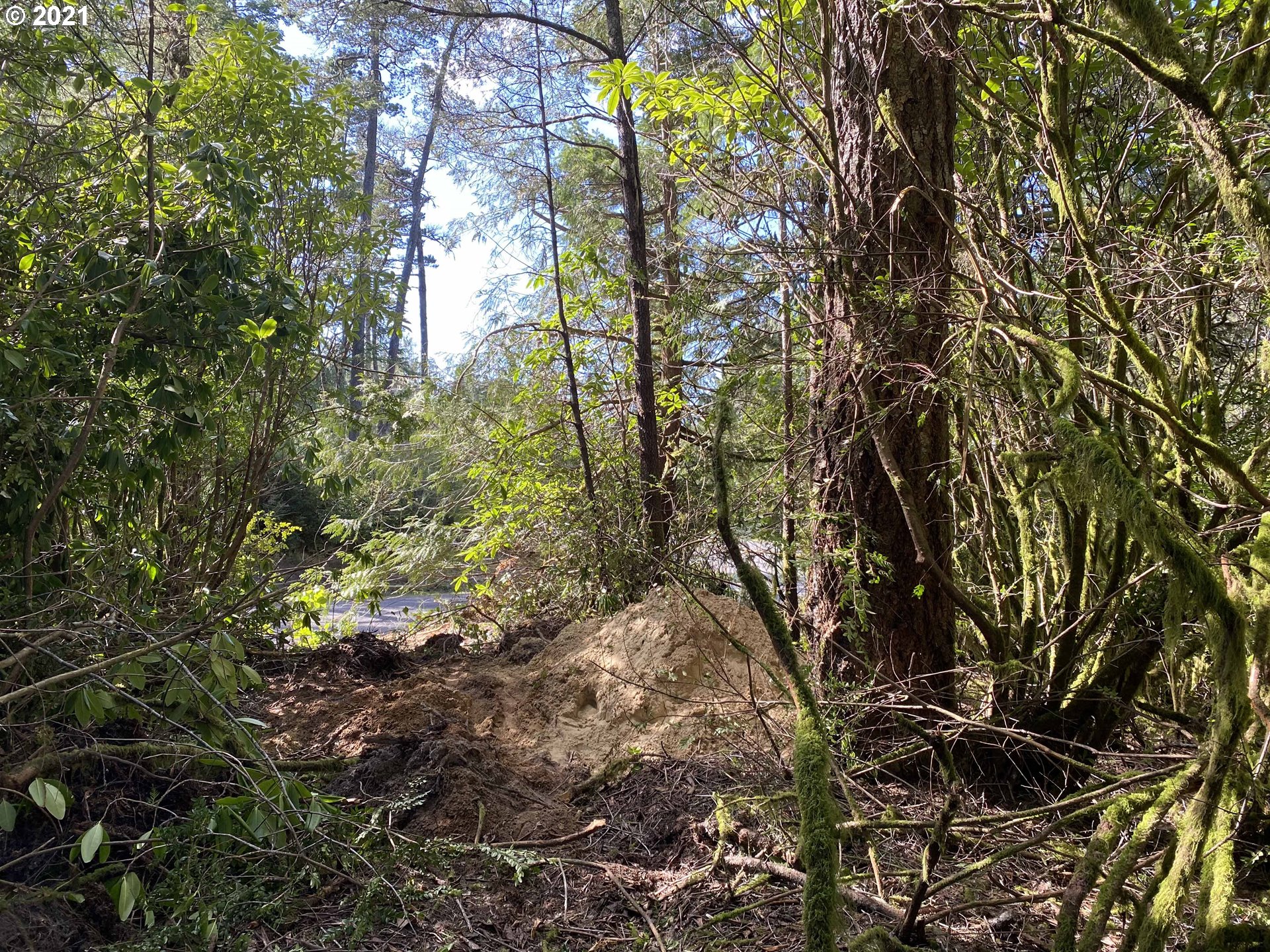Sutton Lake Road Florence, OR 97439 - Photo 5 of 10 Gallery Image 5
