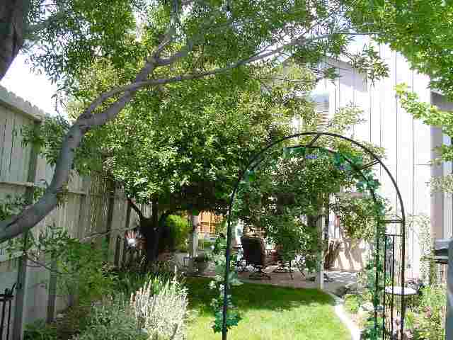 3000 Alpine Creek Road Reno, NV 89519 - Photo 4 of 5
