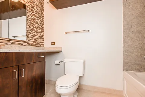 $459,000 | 222 North Columbus Drive, Unit 4609, Chicago, IL 60601