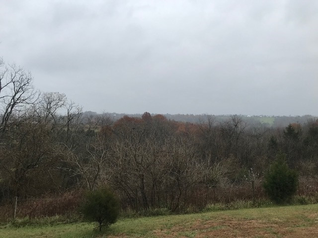 503 Kabler Mill Road Brooksville, KY 41004 - Photo 10 of 31 Gallery Image 10