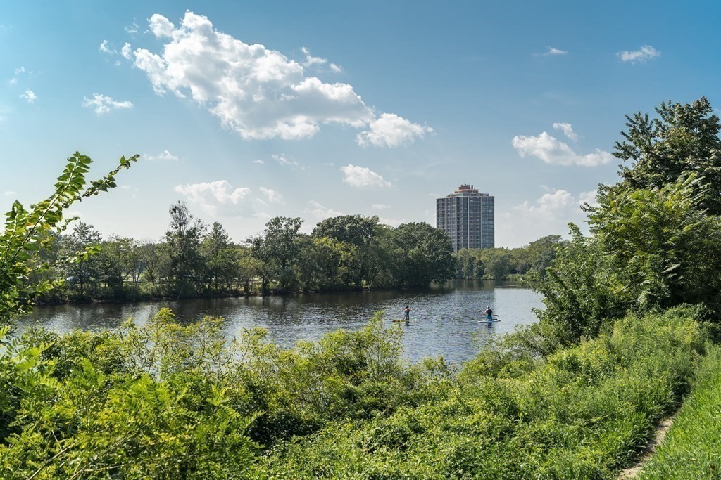 986 Memorial Drive, Unit 404 Cambridge, MA 02138 - Photo 35 of 41 a view of a water pond with green yard