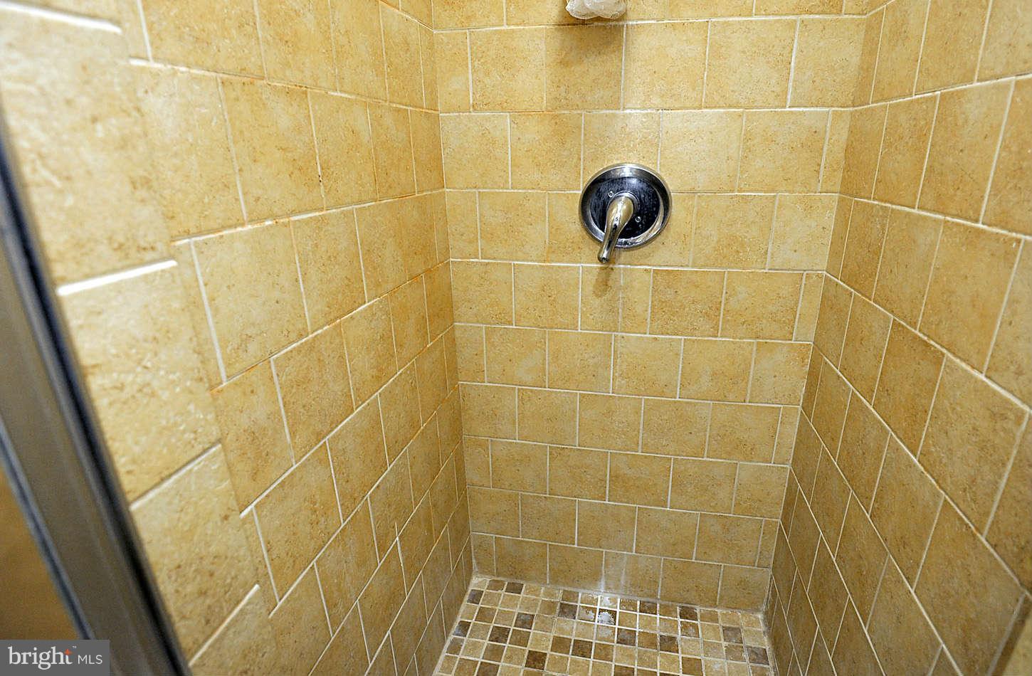 302 N Street Southwest, Unit 302 Washington, DC 20024 - Photo 23 of 25 Bath