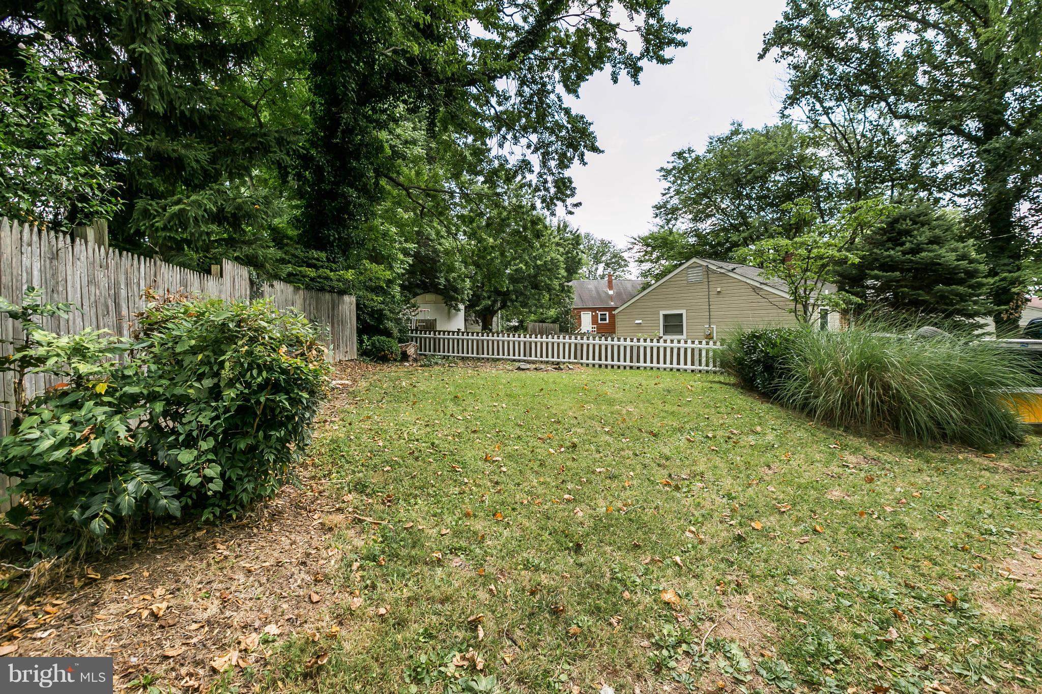 2907 Weisman Road Silver Spring, MD 20902 - Photo 28 of 30 a backyard of a house with plants and large trees