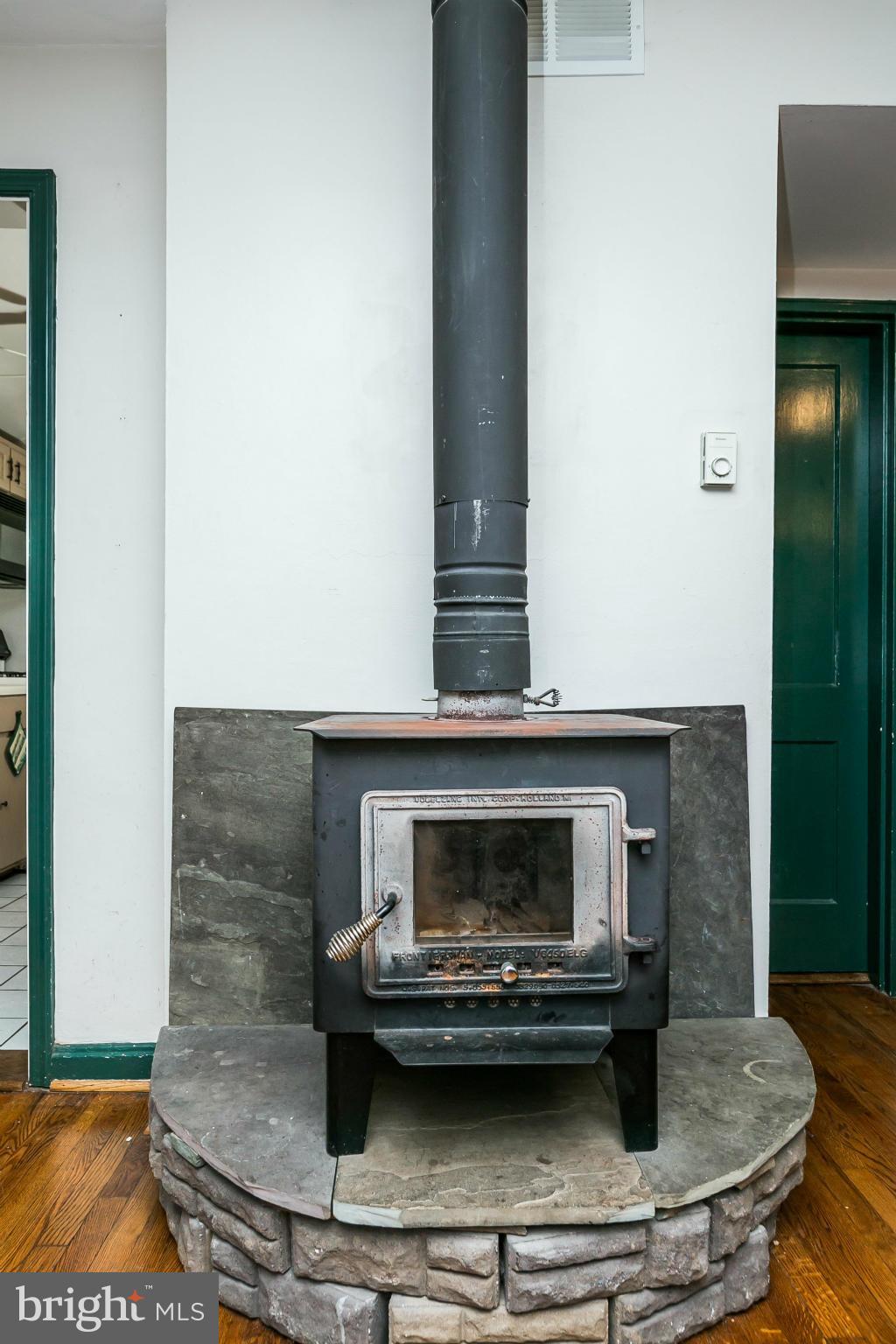 2907 Weisman Road Silver Spring, MD 20902 - Photo 7 of 30 a living room with a fireplace and a rug
