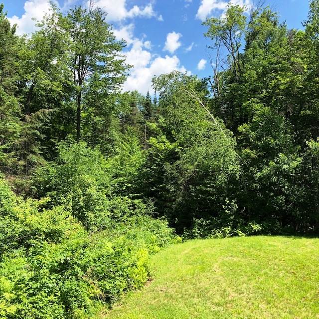 66 Ellsworth Pond Road Ellsworth, NH 03223 - Photo 14 of 14