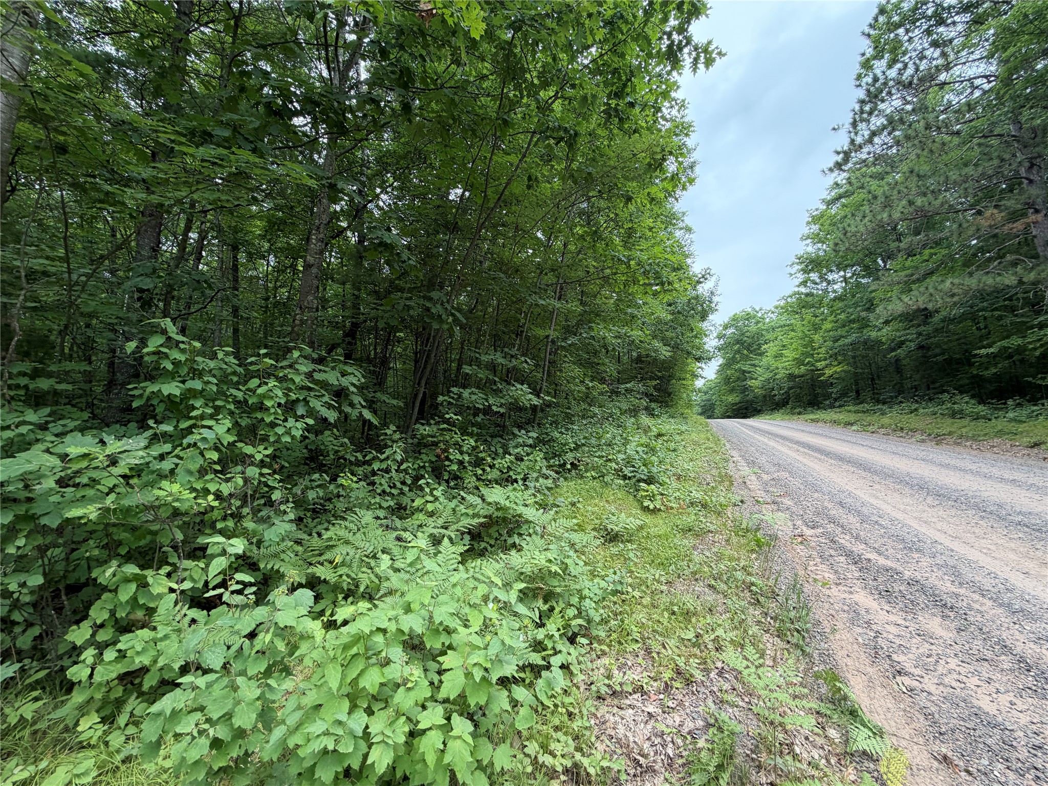 Lot 1 Nor Wis Road North Hayward, WI 54843 - Photo 2 of 37