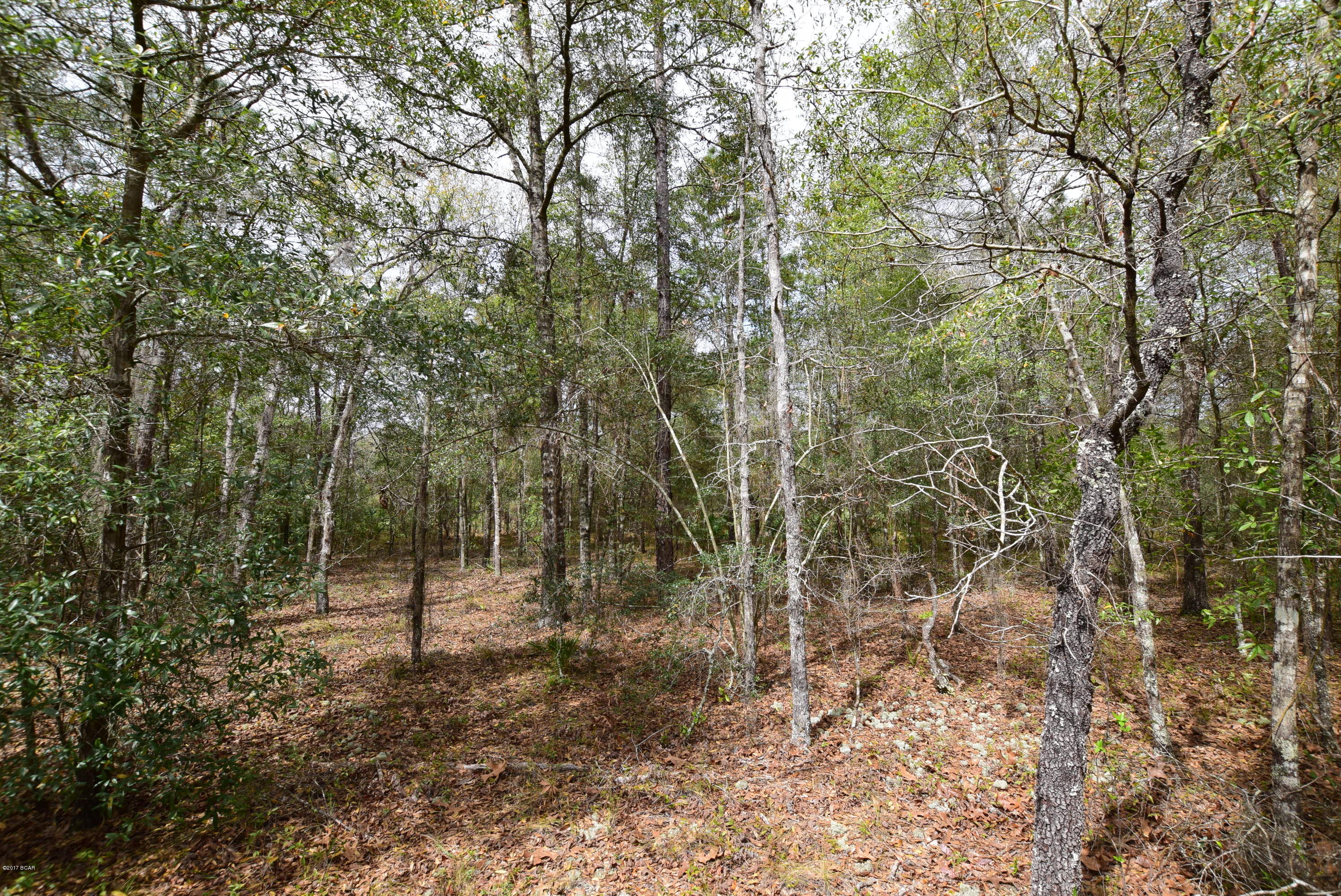 20938 Hightower Road Fountain, FL 32438 - Photo 18 of 29 Gallery Image 18