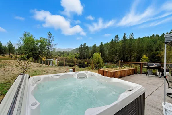 a view of a swimming pool with a patio and a garden