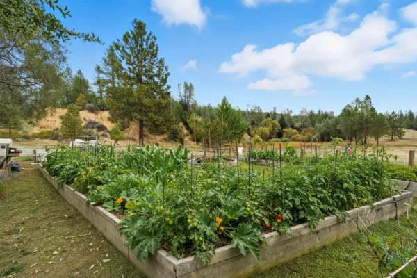a view of a lake with a city