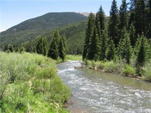 1513 East Keystone Road, Unit 2964 Keystone, CO 80435 - Photo 17 of 17 a view of a forest with a tree