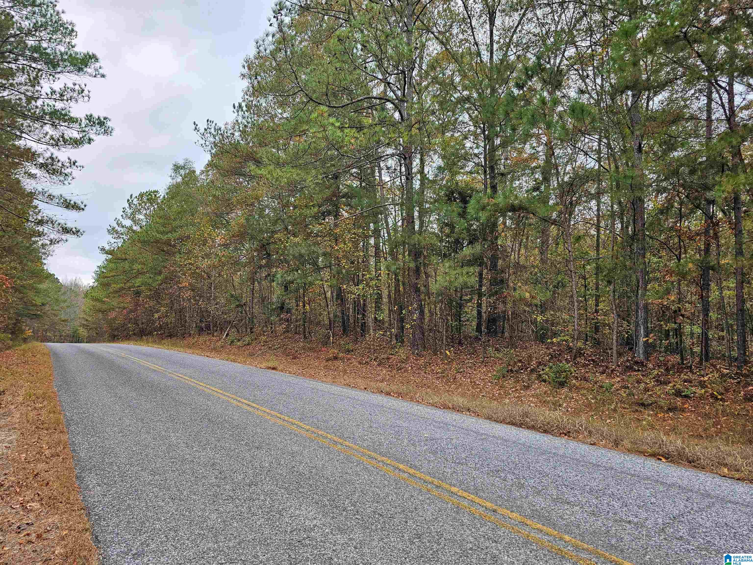 60 County Road 60, Unit 7 2 Heflin, AL 36264 - Photo 2 of 6