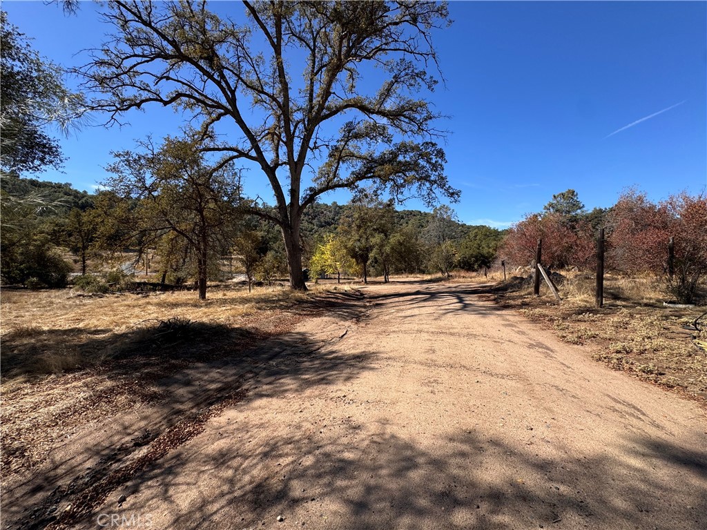 4582 Ashworth Road Mariposa, CA 95338 - Photo 3 of 10 a view of road with snow on side of road